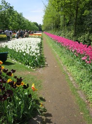 IMG_2750