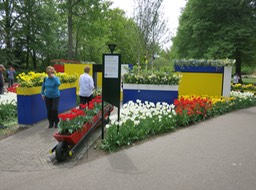 IMG_2775