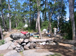 our site - 2008