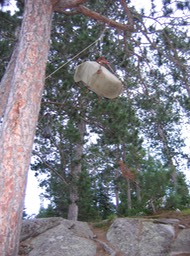 food packs safe from bears