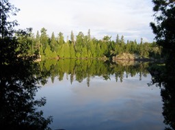 early morning - 2008