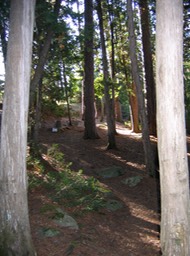 our latrine - 2008