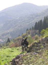 IMG_3273