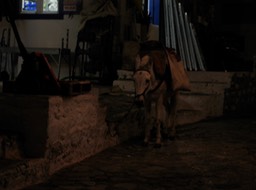 IMG_3368