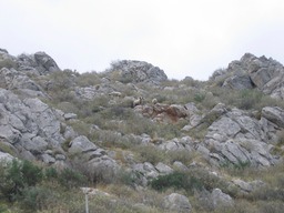 IMG_3382.JPG
