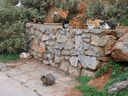 IMG_3383.JPG
