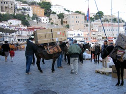 IMG_3395.JPG