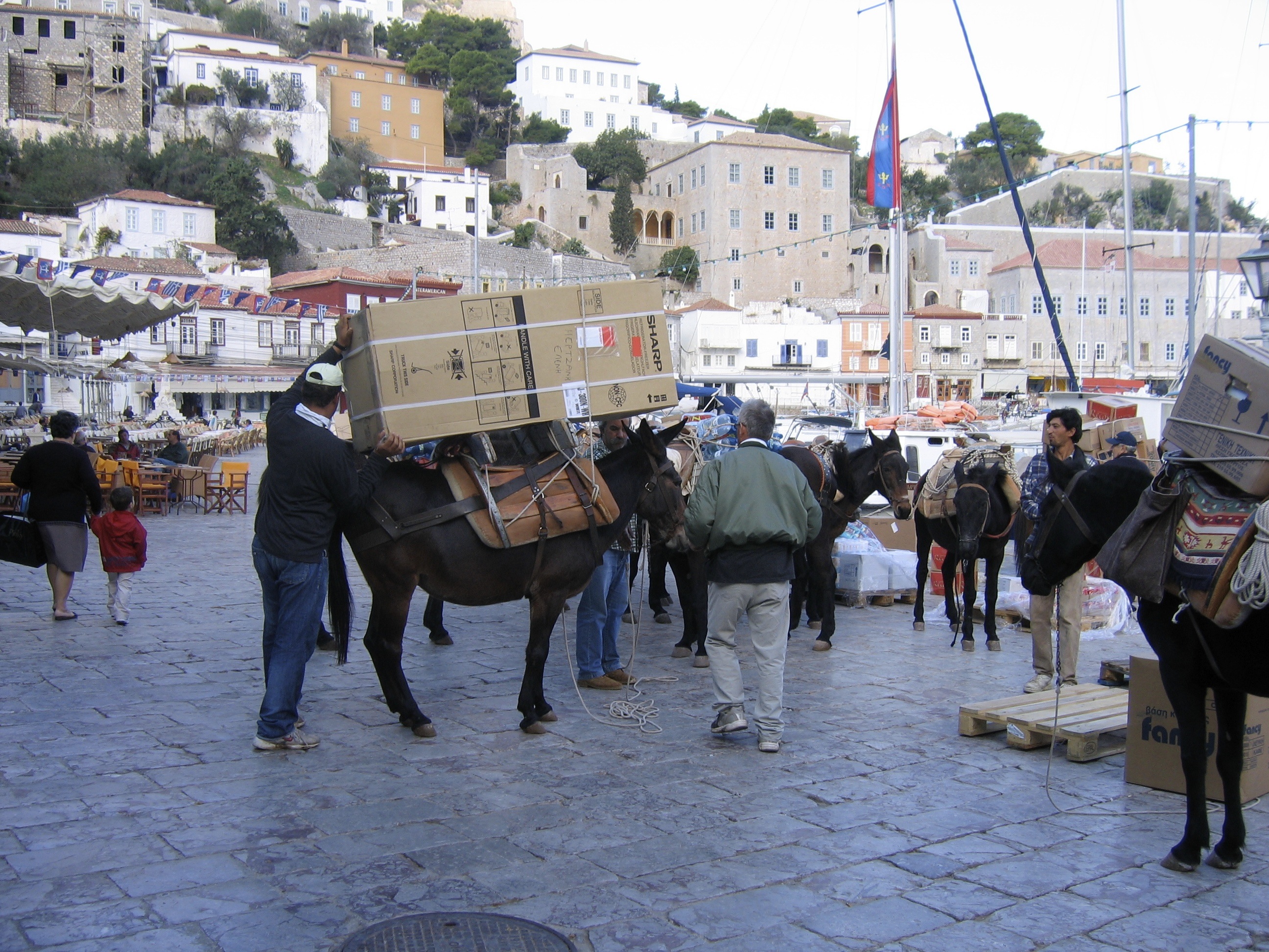 IMG_3395.JPG