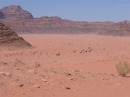 IMG_4344