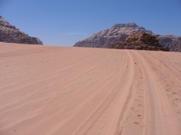 IMG_4356