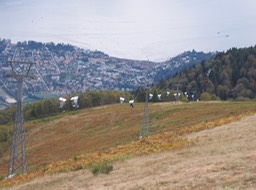 IMG_4437