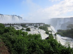 IMG_5253