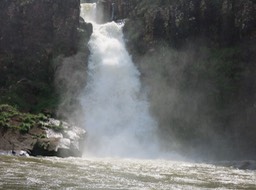 IMG_5324