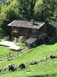 IMG_6555