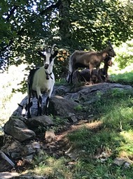 IMG_6564