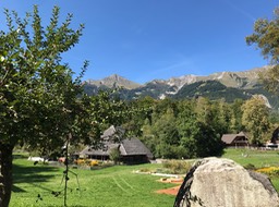 IMG_6574