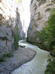 IMG_6920