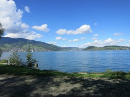 IMG_6960