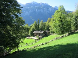 IMG_7069