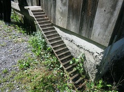 IMG_7078