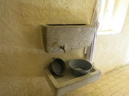 IMG_7081