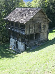 IMG_7083