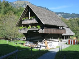 IMG_7087