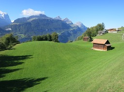 IMG_7142
