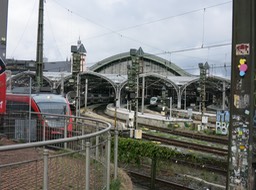 IMG_7215