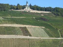 IMG_7262