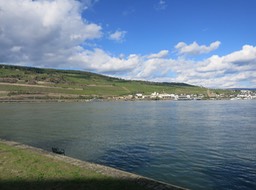 IMG_7275
