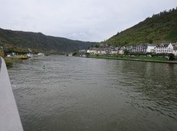 IMG_7284
