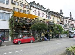 IMG_7285