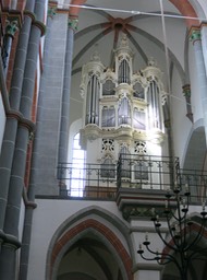 IMG_7294
