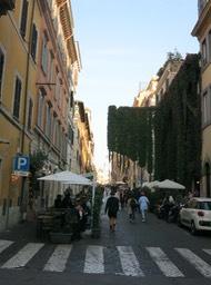 interesting street planting