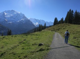 it is a popular walk