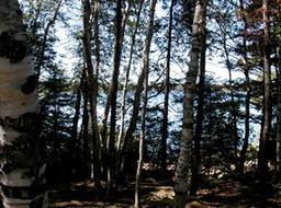 view from latrine - 2002