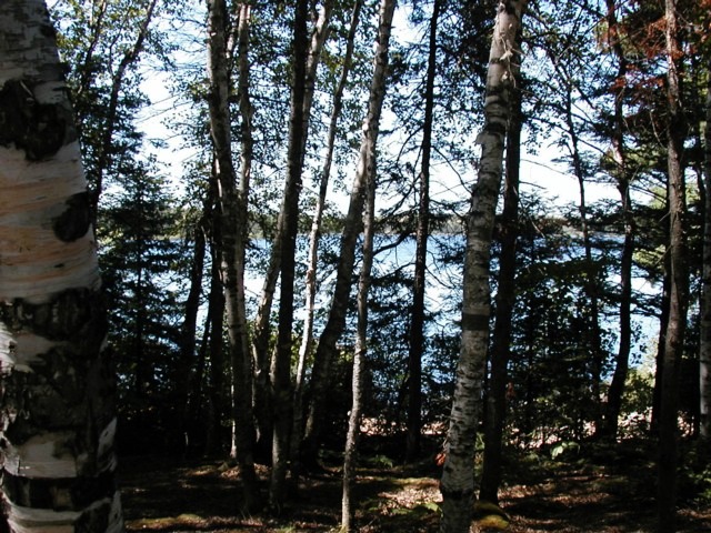 view from latrine - 2002