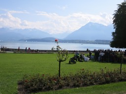 Lake Thun view from our lunch stop