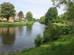 Leiden - along botanical garden