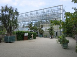 Leiden Univ. Botanical Gardens - 8