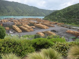 logs near Picton