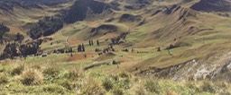 lots of paths down