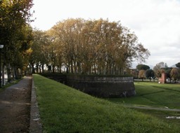 Lucca_wall-2