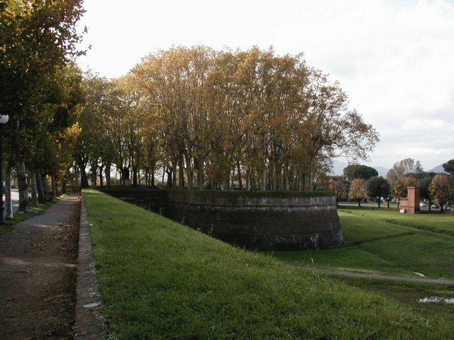 Lucca_wall-2