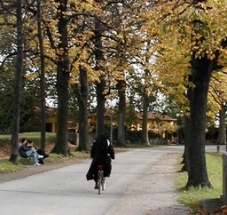 Lucca_wall-3