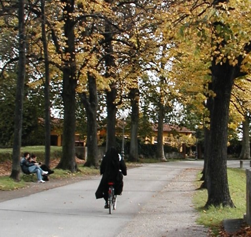 Lucca_wall-3
