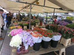 market day in Leiden
