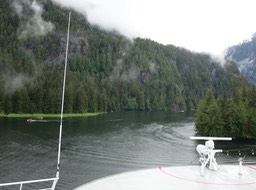 Misty Fjords excursion