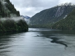 Misty Fjords